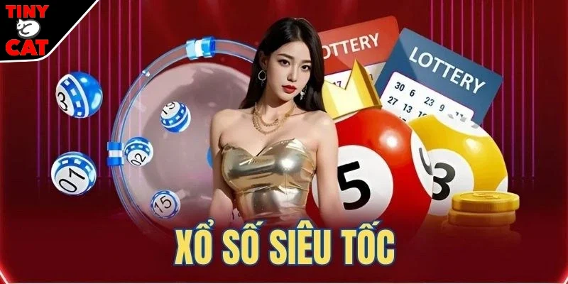 Hướng dẫn chơi xổ số dành cho bạn